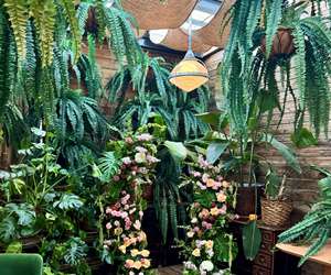 Wedding Arch at Botanico